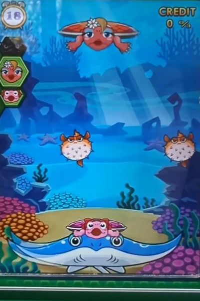 乌龟家族手机游戏官方下载安卓版图片2