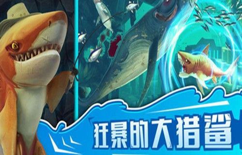 饥饿鲨世界2019apk安卓版淘金热鲨鱼全版图片2