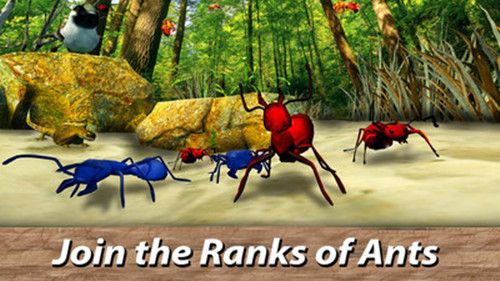 蚂蚁生存模拟器中文金币安卓版图片3