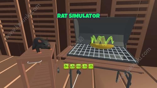大鼠模拟器游戏官方网站下载安卓版图片3