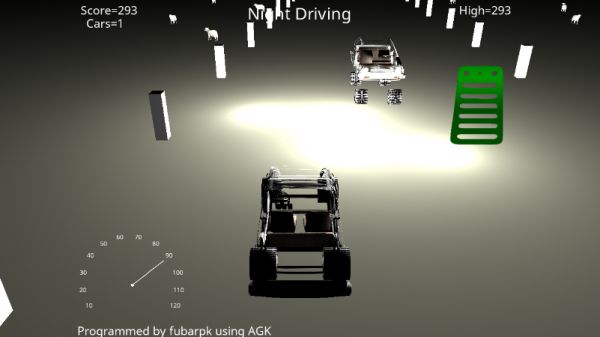 我的夜间驾驶中文游戏官方网站下载安卓版(My Night Driving)图片3