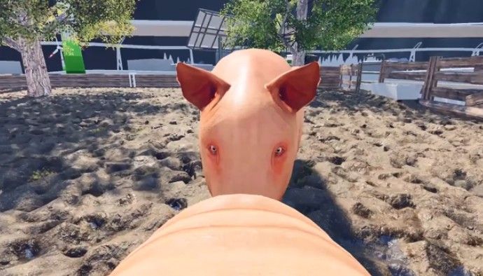屌德斯解说模拟猪的一生手机游戏下载最新版图片3