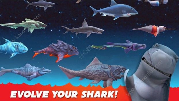 饥饿鲨进化6.8.0座头鲸攻略钻石安卓版图片3